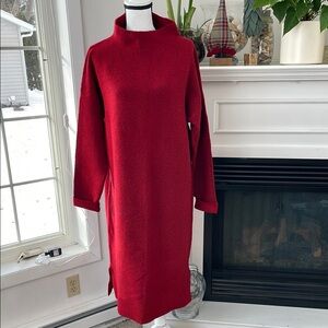 Elegant Rust Turtleneck Dress
